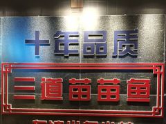 -三道苗苗鱼·美蛙黄辣丁(八里店)
