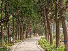 -石家庄市植物园