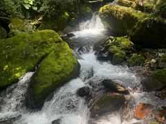 -神农架香溪源景区