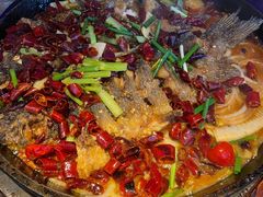 -老板恋上鱼(恒隆广场店)