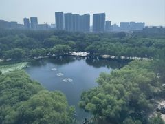 -青城公园