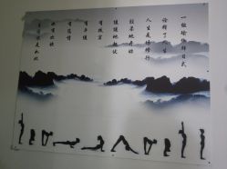 -榕树上·瑜伽普拉提