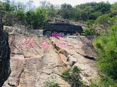 -牛鱼嘴原始生态风景区