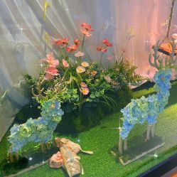 -艾薇芭蕾艺术中心