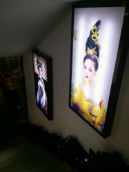 -盘子女人坊(珠海拱北旗舰店)