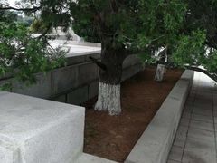 -辽沈战役纪念馆