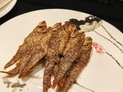 -新雅粤菜馆(南京东路店)