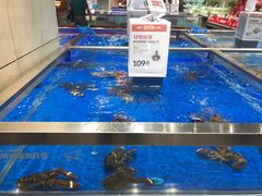 水产区-盒马鲜生(财富中心店)