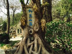 -淄博聊斋城景区