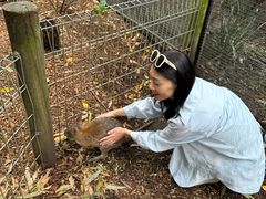 -费瑟代尔野生动物园