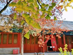 -大钟寺古钟博物馆