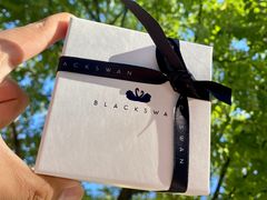 -BLACKSWAN黑天鹅(环球店)