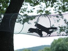 -苏州太湖西山岛开心农场