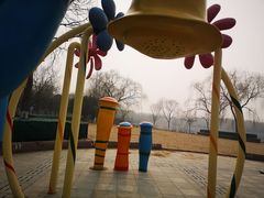 -大兴滨河森林公园