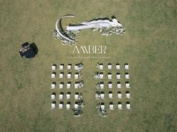 点击看大图 -琥珀婚礼策划AMBER WEDDING
