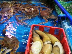 -御满江海鲜酒家(洛溪新城店)
