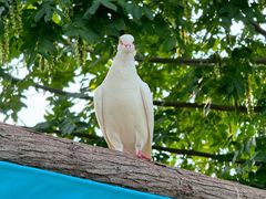 -祥源·阜阳生态乐园