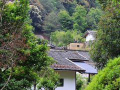 -雁南飞茶田景区