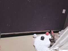 -藏猫猫咖啡主题馆(中央大道店)