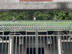 -广州素食学校·素猫豆腐(长洲码头店)