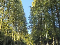 -都江堰普照寺