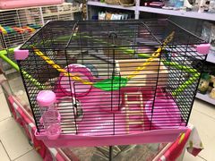-钓仓鼠(洋桥北里小区店)