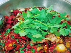 鸡肉-天治宣·野椒鸡(龙头寺总店)