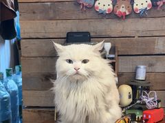 -小时光咖啡馆(开森度假森林店)
