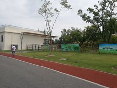 -上海长兴岛郊野公园