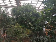 -石家庄市植物园