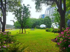 -北外滩滨江绿地