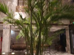 -弘安丽水温泉酒店