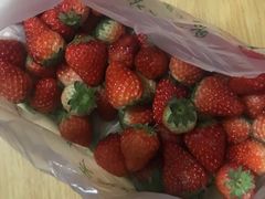 -乐乐鲜果水果超市(河北店)