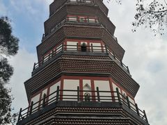 -珠江夜游广州塔·中大码头