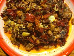 -柴窝堡22号辣子鸡·传承新疆菜