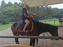 -太阳岛度假酒店