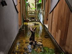 -邈墨茶馆(凤起路店)