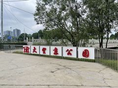-大望京公园