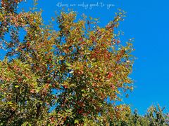 -春晖园度假酒店温泉