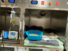 -康成宠物医院24H·CT·核磁共振