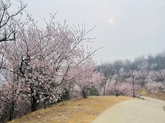-鬼笑石后山停车场