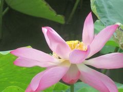 -金山公园