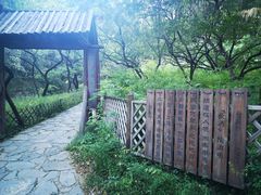 -香山公园