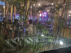 -老安火盆烤肉(金寨路店)