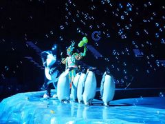 -珠海横琴长隆《卡卡虎奇遇记》