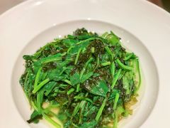 -醉庐·新上海菜(南京西路店)