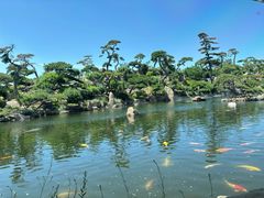 -罗红摄影艺术馆