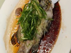 -海儀美食楼(湾仔海鲜街店)