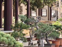 -宝岩生态观光园