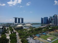 -新加坡瑞士史丹福酒店